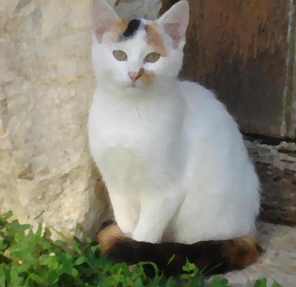 مبيت وإفطار Presbytère D Arpentian