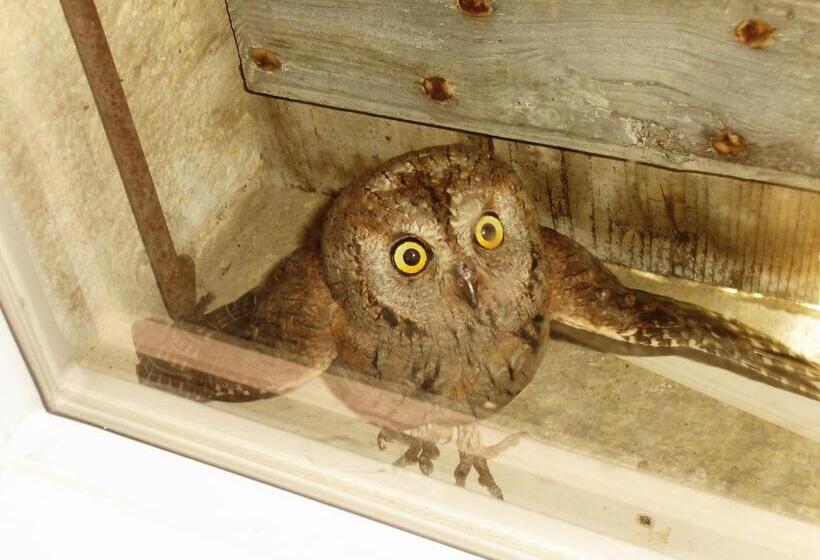 مبيت وإفطار Presbytère D Arpentian