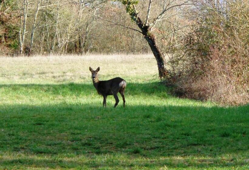 مبيت وإفطار Presbytère D Arpentian