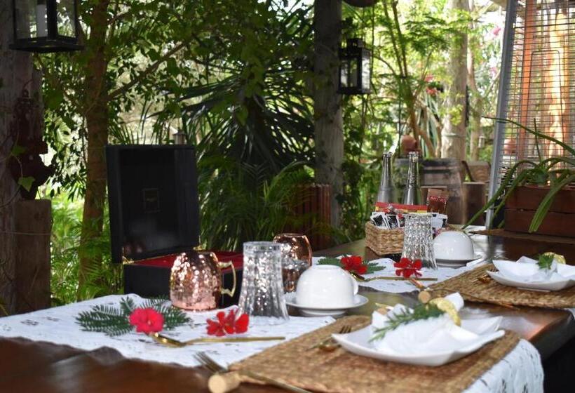 Bed and Breakfast Romantica