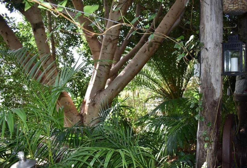 Bed and Breakfast Romantica