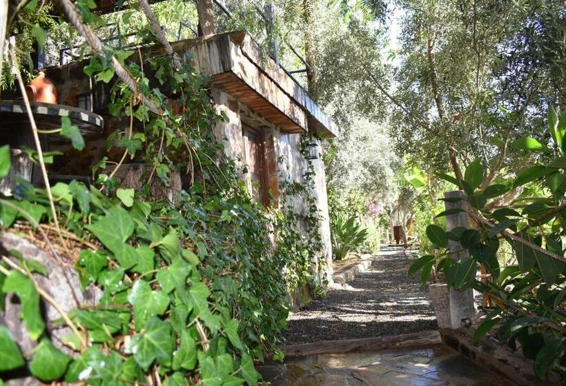 Bed and Breakfast Romantica