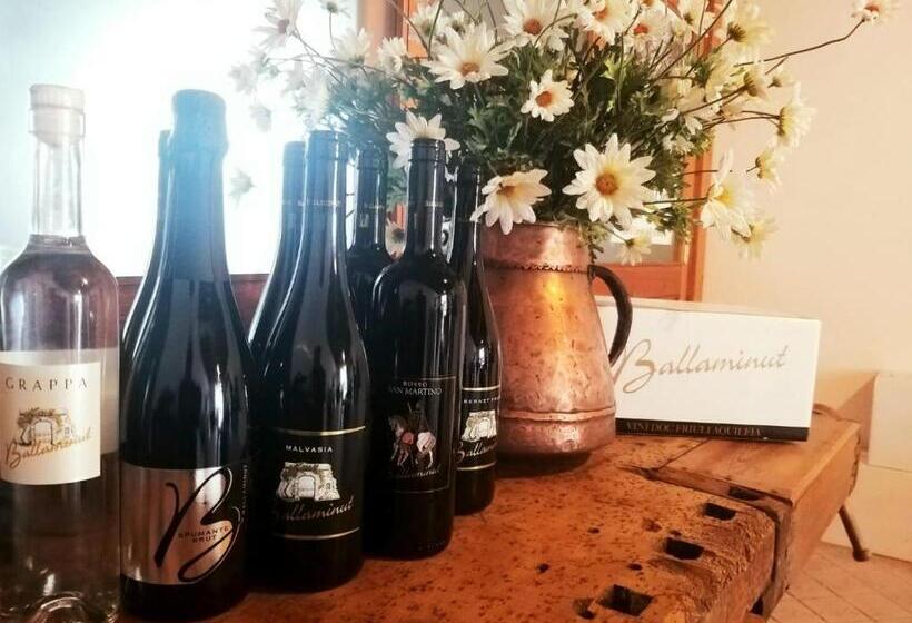 호텔 Agriturismo Ballaminut