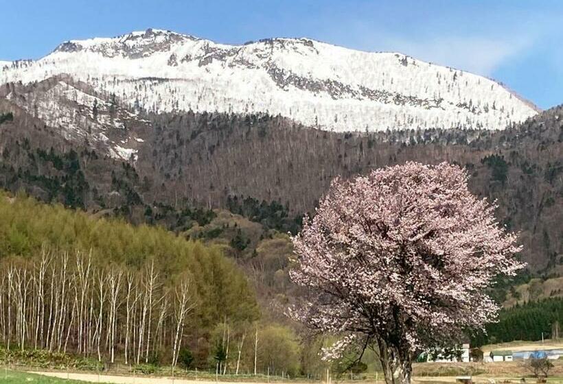 Furano   Hotel / Vacation Stay 35777