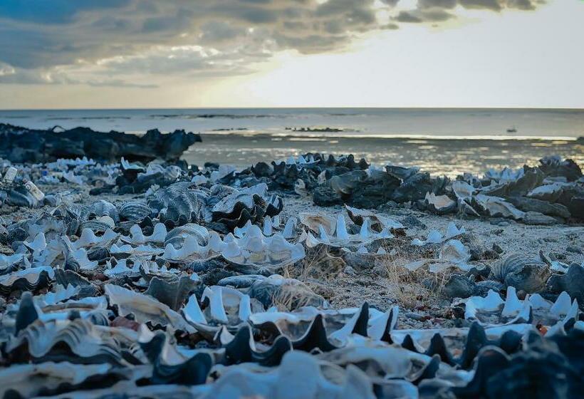 Отель Mulia Bungalows