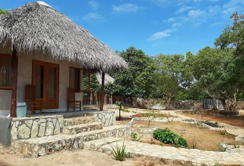 Отель Mulia Bungalows