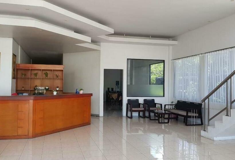 Отель Tiara Inn