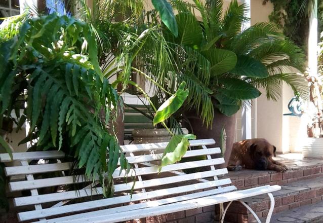 Mavilla Stellenbosch B&b