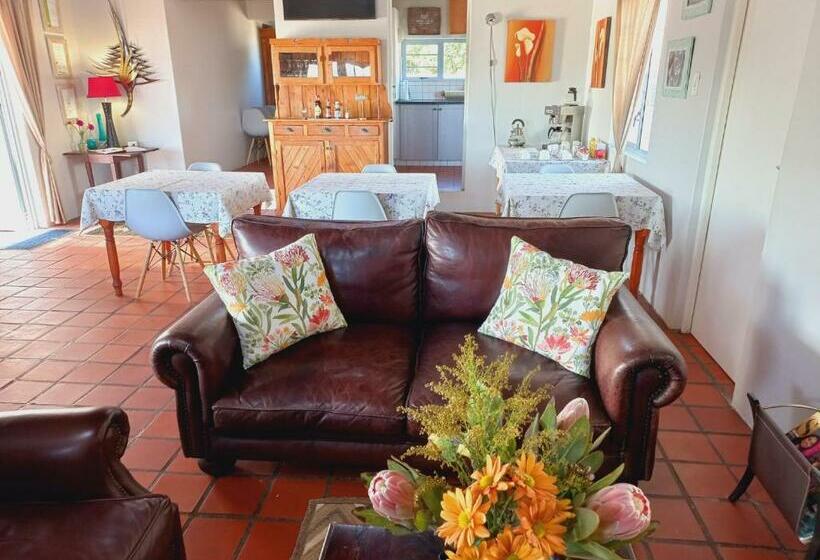 بنسيون Abalone Guesthouse