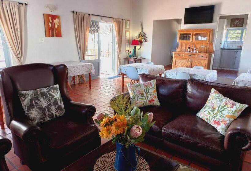 بنسيون Abalone Guesthouse