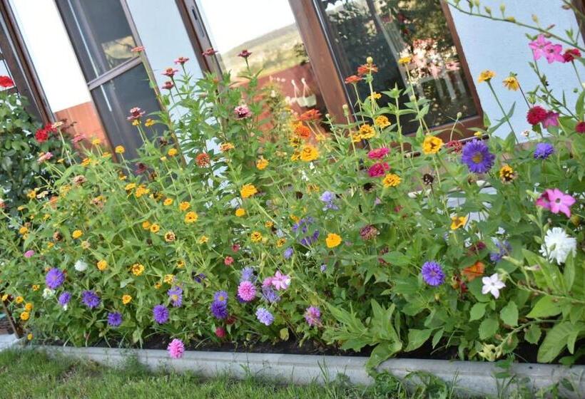 بنسيون Bbs Residence