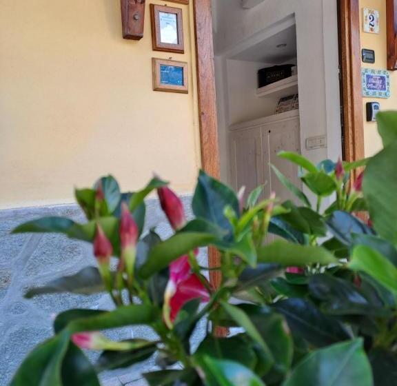 بنسيون Casello68