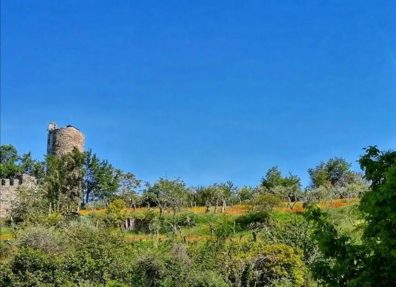 بنسيون Casello68