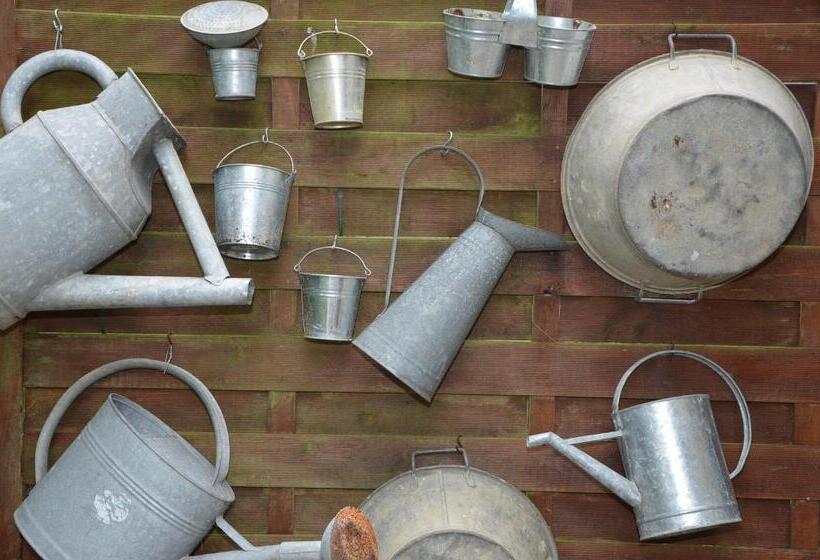 بنسيون La Maison De Biord