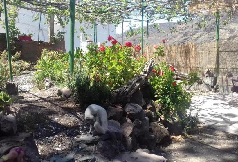 بنسيون Lagarto