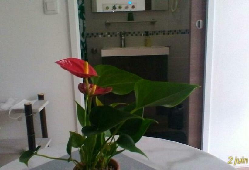 بنسيون Le Clos Des Palombes