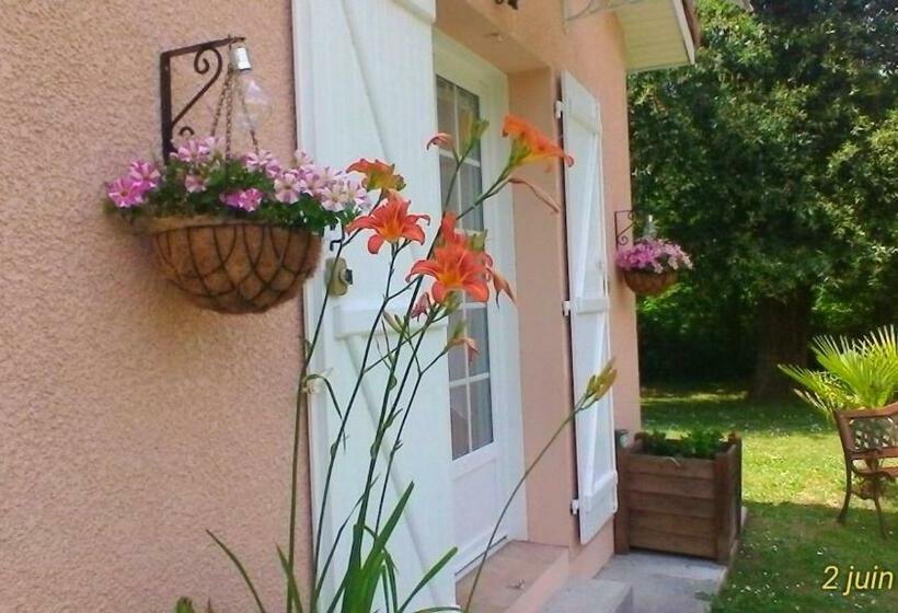 بنسيون Le Clos Des Palombes