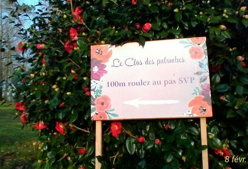 بنسيون Le Clos Des Palombes