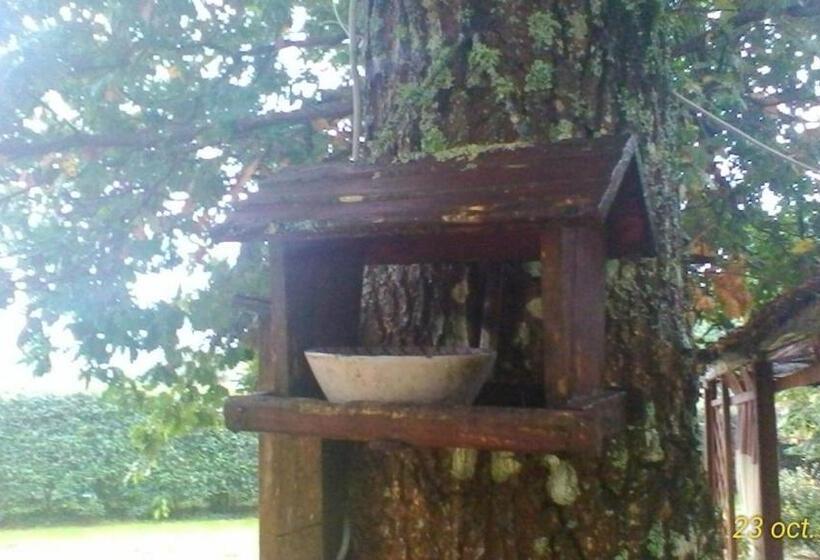 بنسيون Le Clos Des Palombes