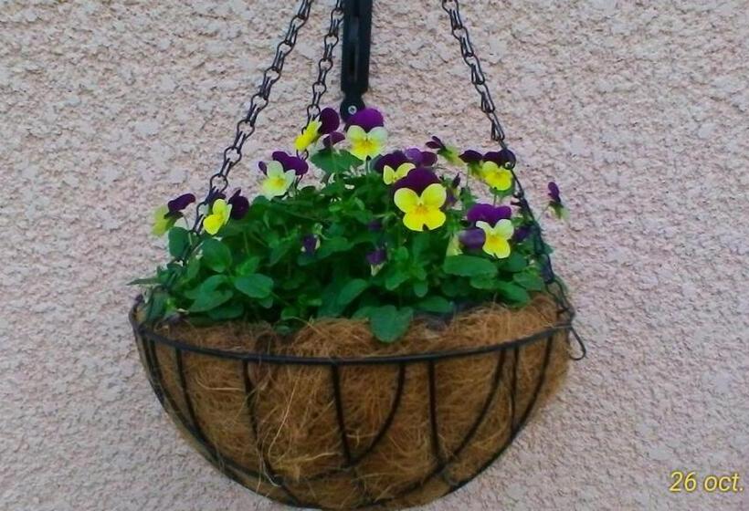 بنسيون Le Clos Des Palombes