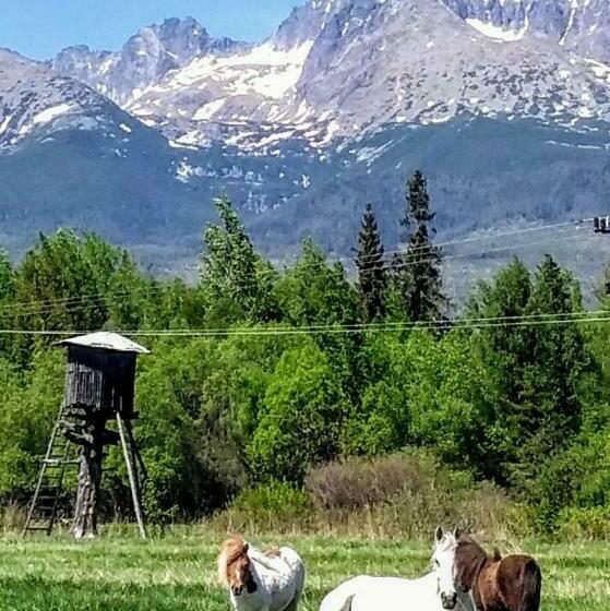 Пансион Penzión Monty Ranch Vysoké Tatry štôla