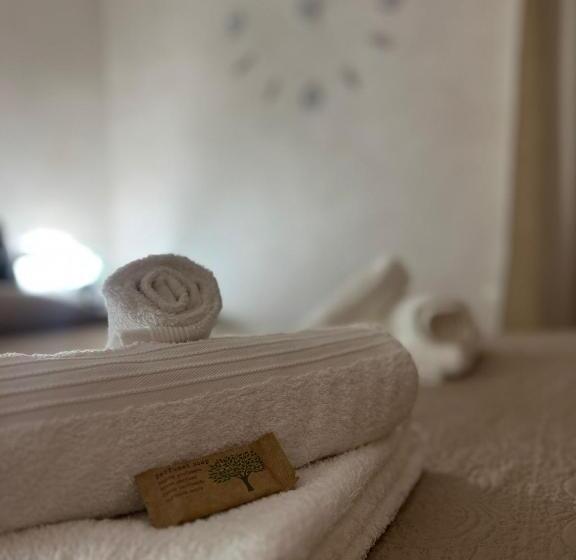 膳宿费 Scicocco Sweet Home