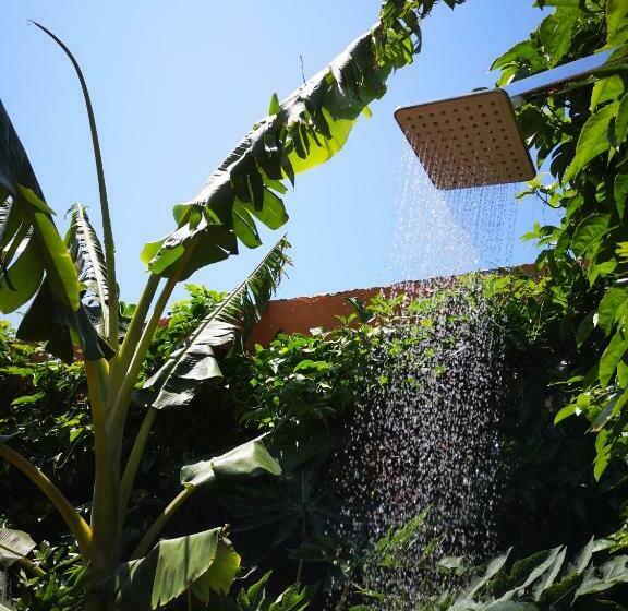 פנסיון Sheep And Stars