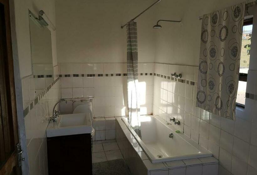 פנסיון Sheep And Stars