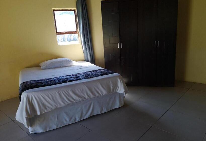 פנסיון Sheep And Stars