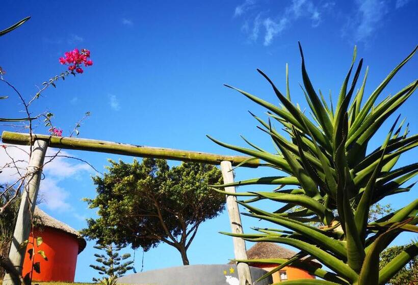 פנסיון Sheep And Stars