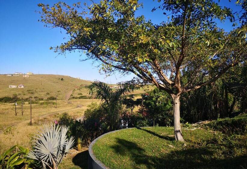 פנסיון Sheep And Stars