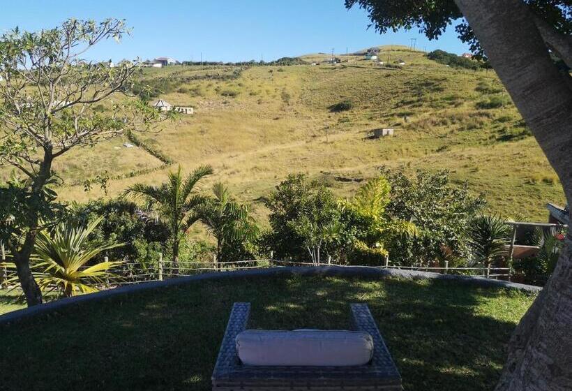 פנסיון Sheep And Stars