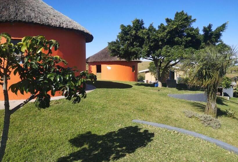 פנסיון Sheep And Stars