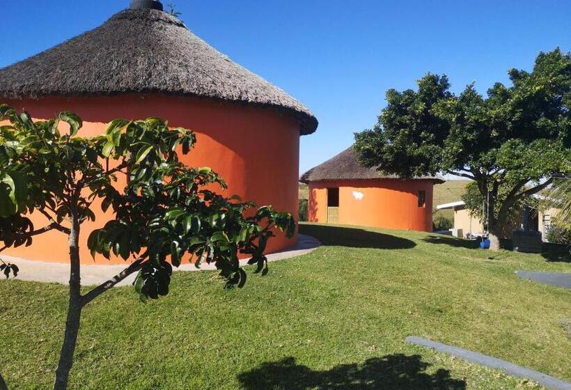 פנסיון Sheep And Stars