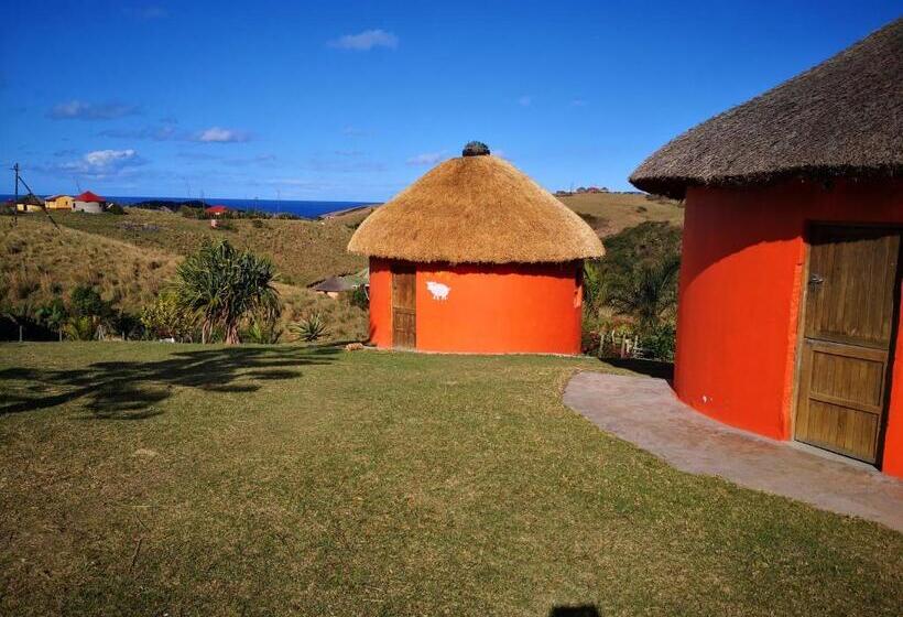 פנסיון Sheep And Stars