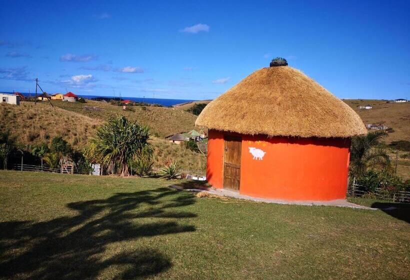 פנסיון Sheep And Stars