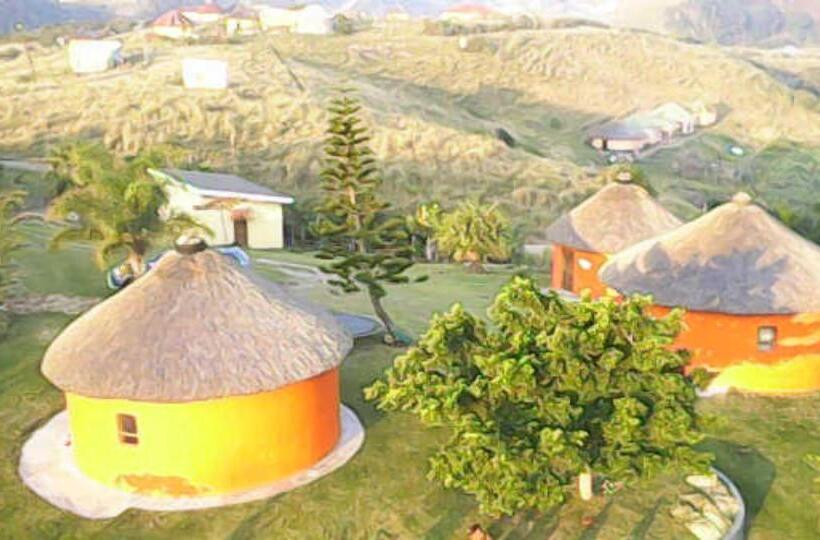 פנסיון Sheep And Stars