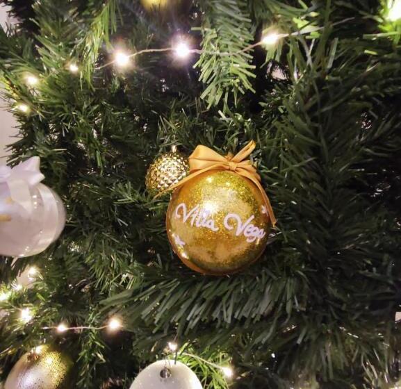 פנסיון Villa Vega