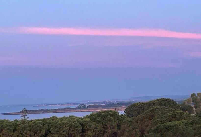 פנסיון Villa Vega