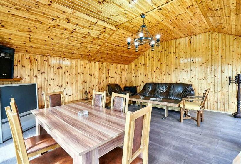 펜션 Camere De Inchiriat Roman