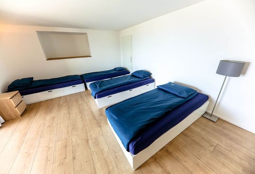 فندق صغير Young Backpackers Homestay