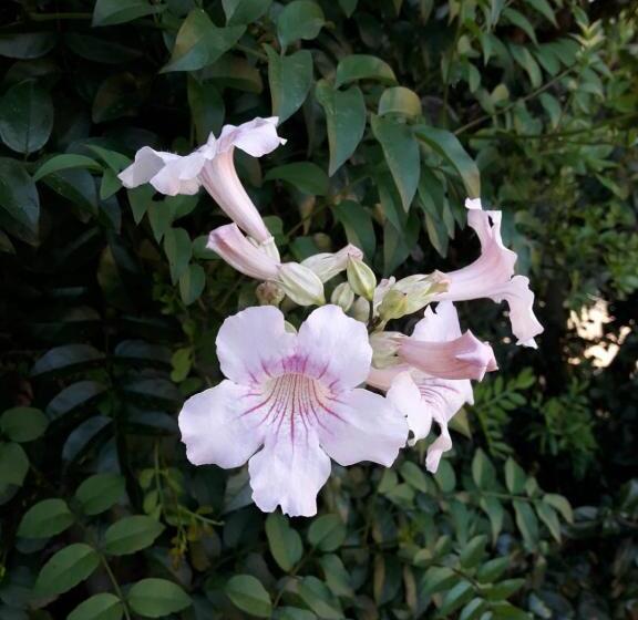 住宿加早餐  4 Stagioni