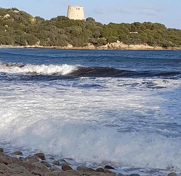 住宿加早餐  4 Stagioni