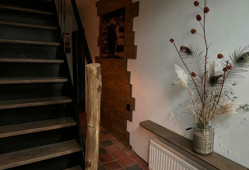 ベッドアンドブレックファースト Bed&breakfast Jonker