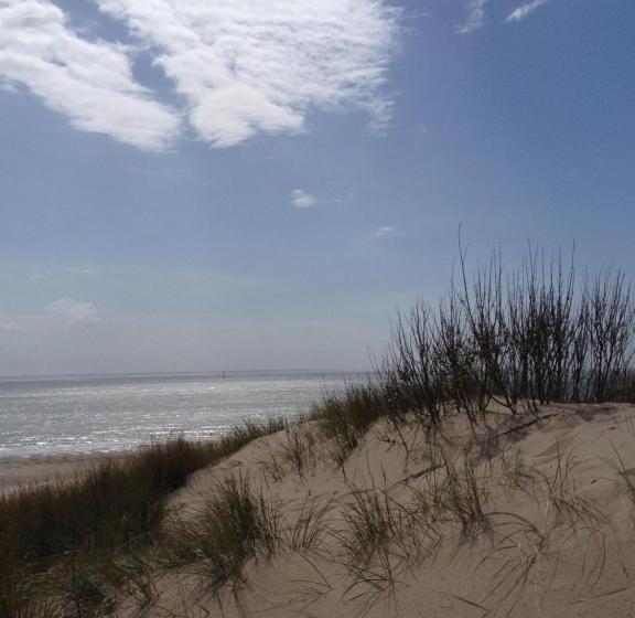 צימר Bed&breakfast Jonker