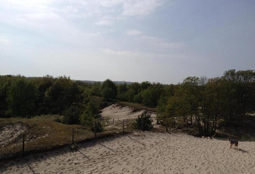 צימר Bed&breakfast Jonker