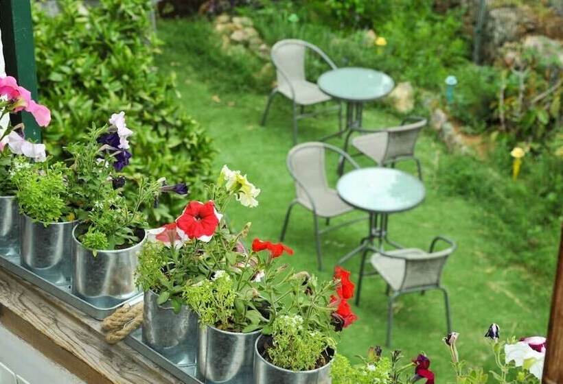 Bed and Breakfast Casa Caimari Guest House, For Mountain Lovers!