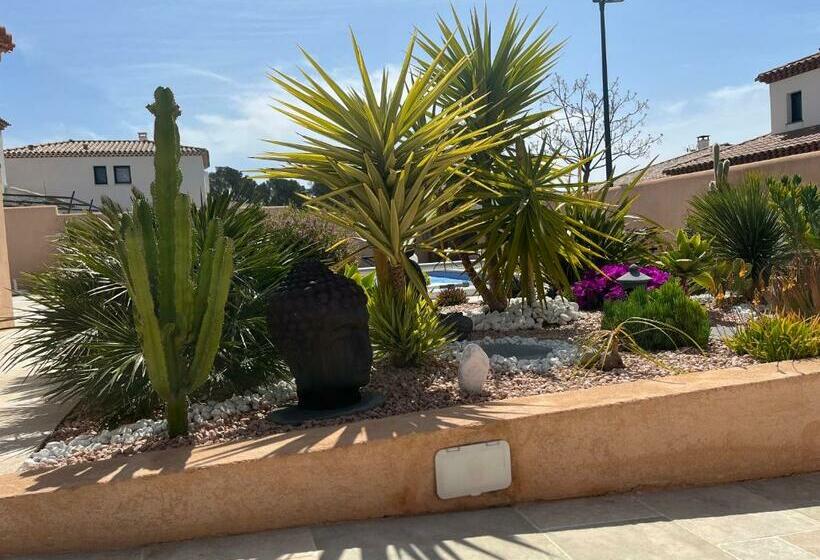 צימר Chambre D Hôtes Dans Villa Diane