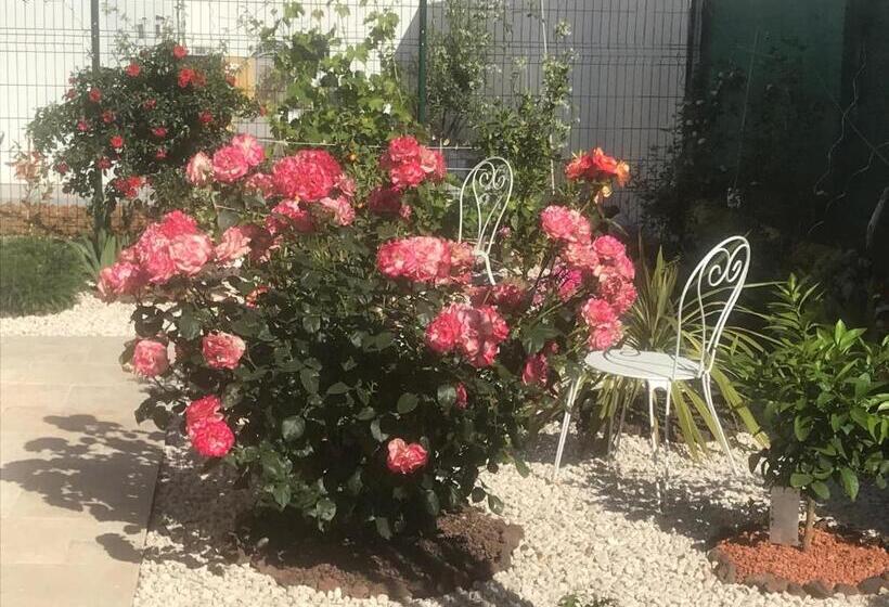 צימר Chambre D Hôtes Dans Villa Diane