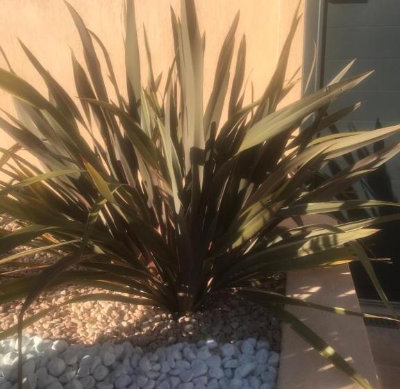 צימר Chambre D Hôtes Dans Villa Diane